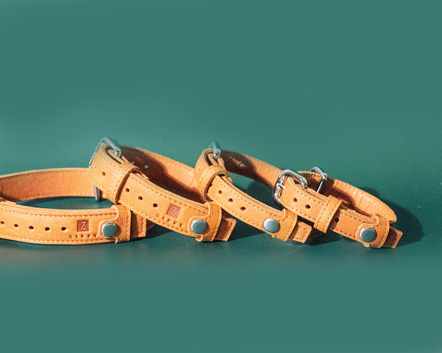Pet Collar