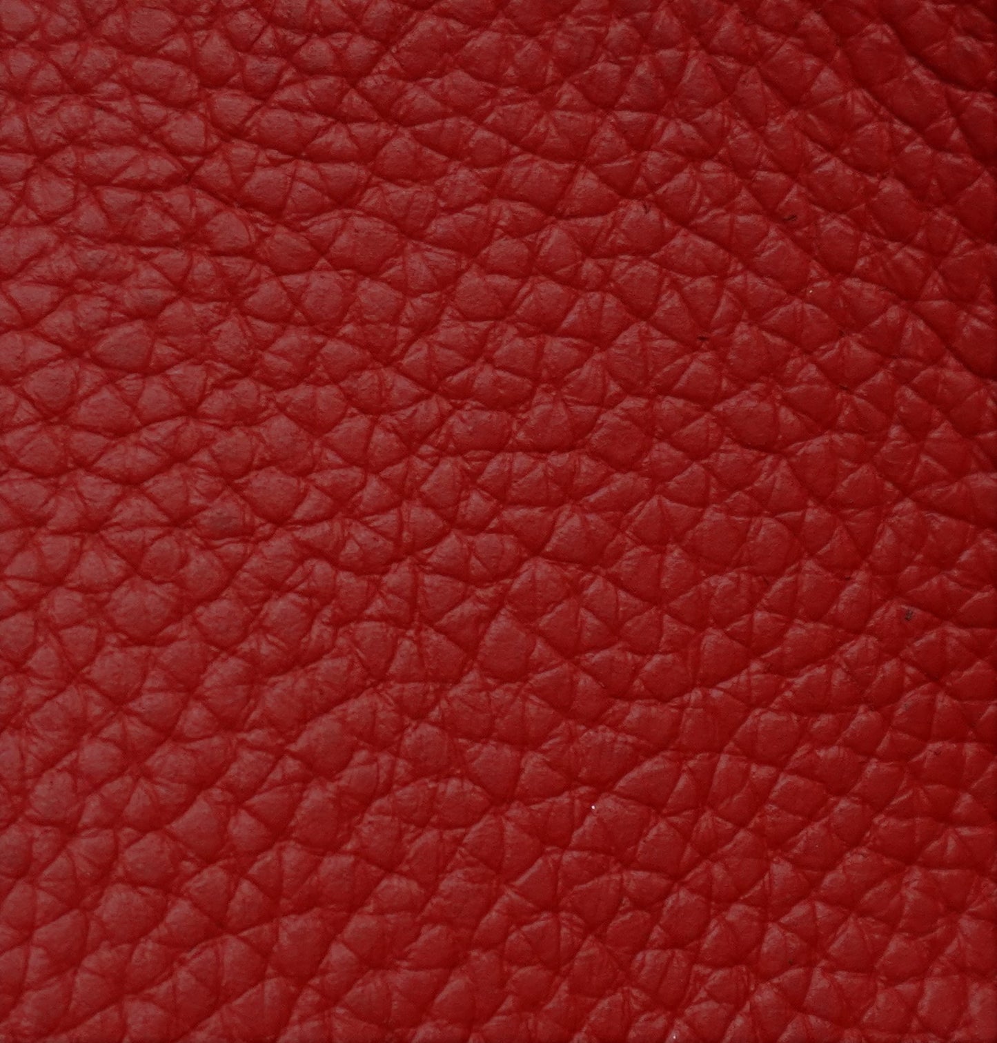 Pull-Tab Passport Holder