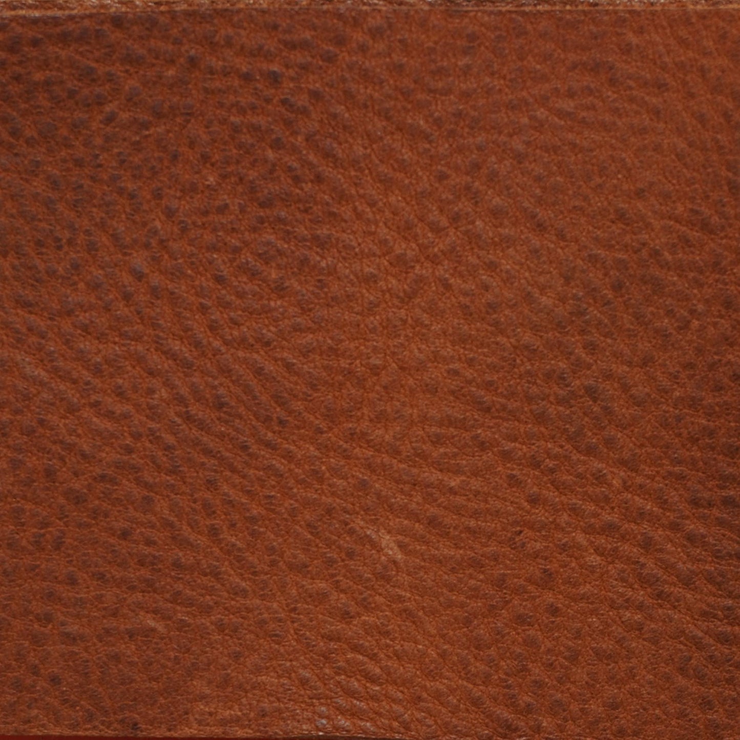 Pull-Tab Passport Holder