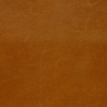 Tan Brown leather swatch