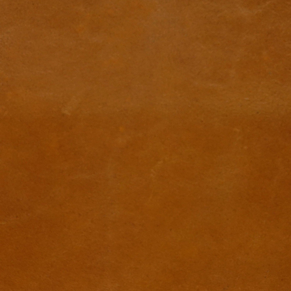 Tan Brown leather swatch