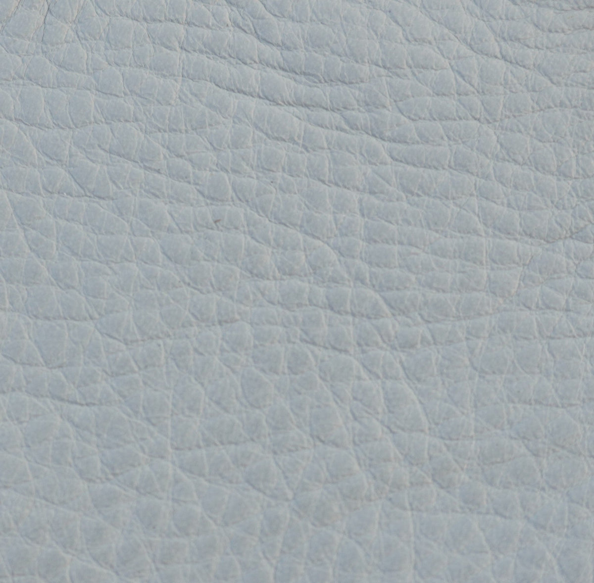 Light Gray leather swatch