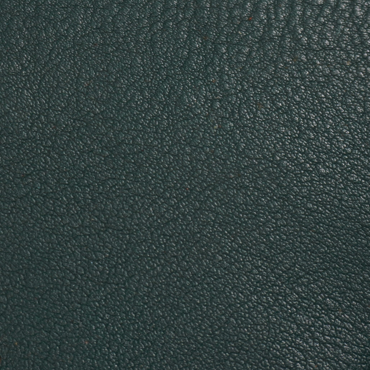 Leather color and texture leather swatch