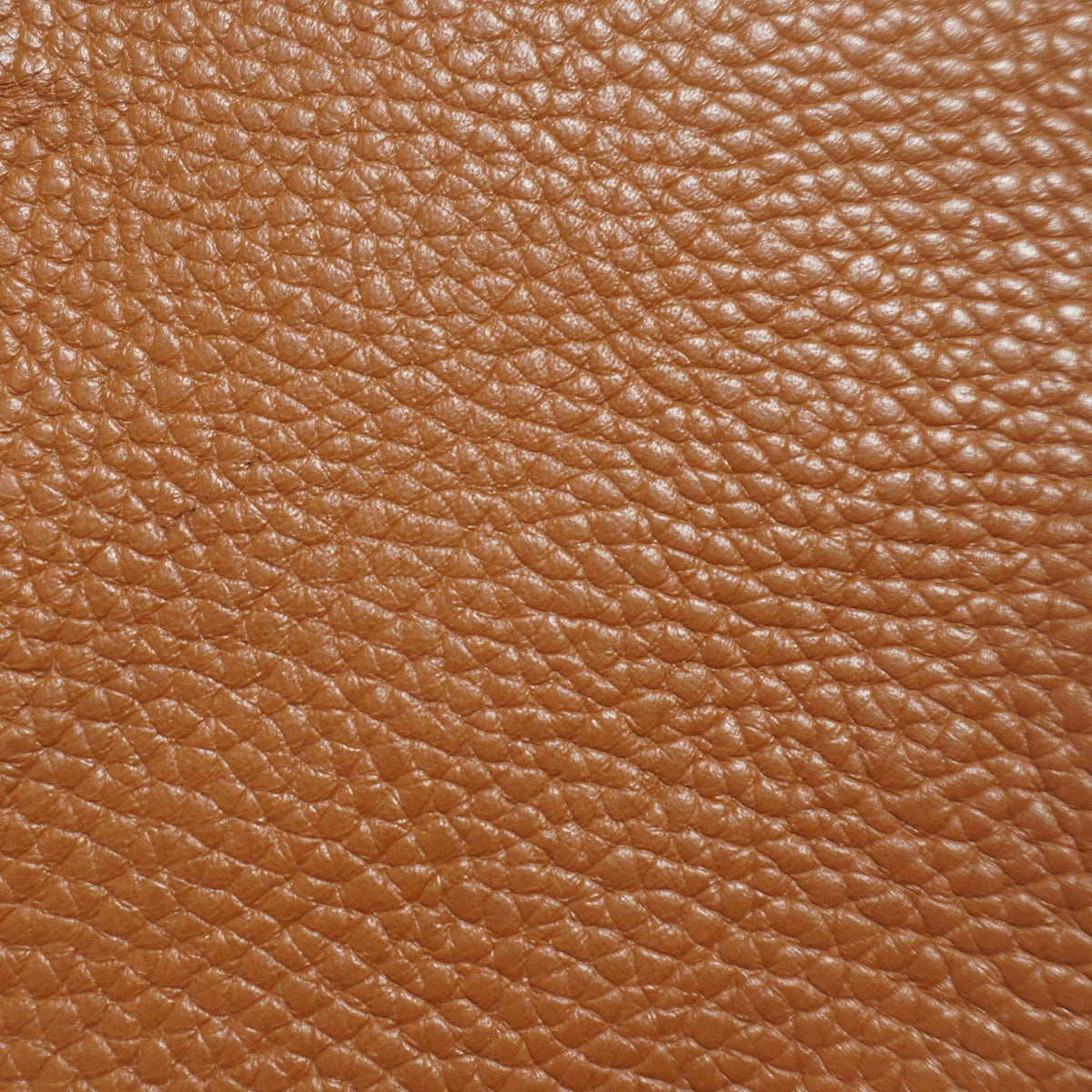 Leather color and texture leather swatch