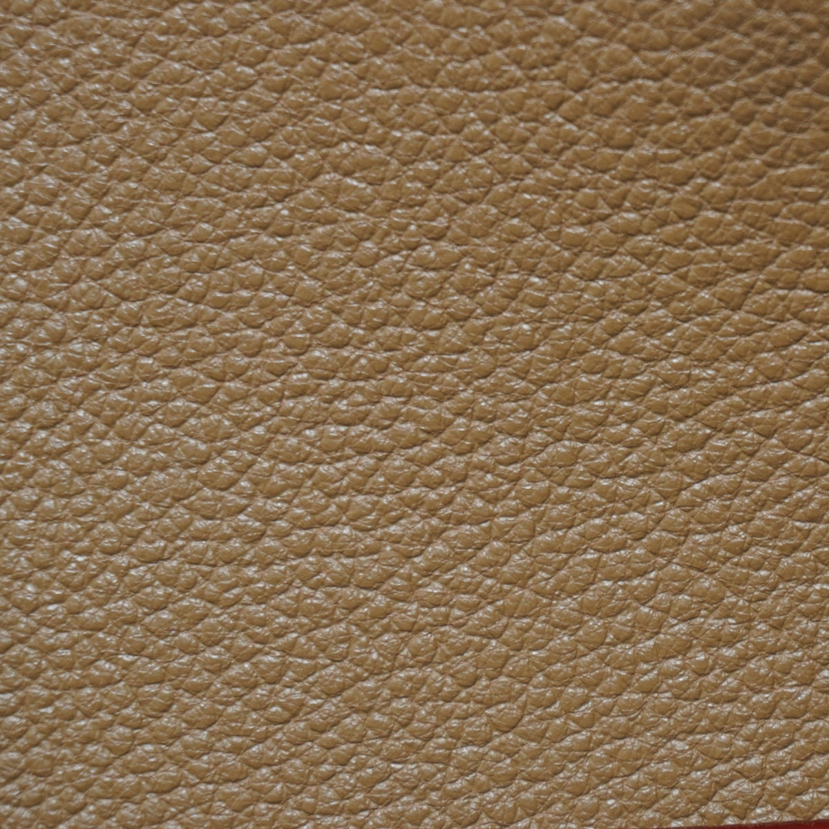 Hazelnut Brown (European Collection) leather swatch