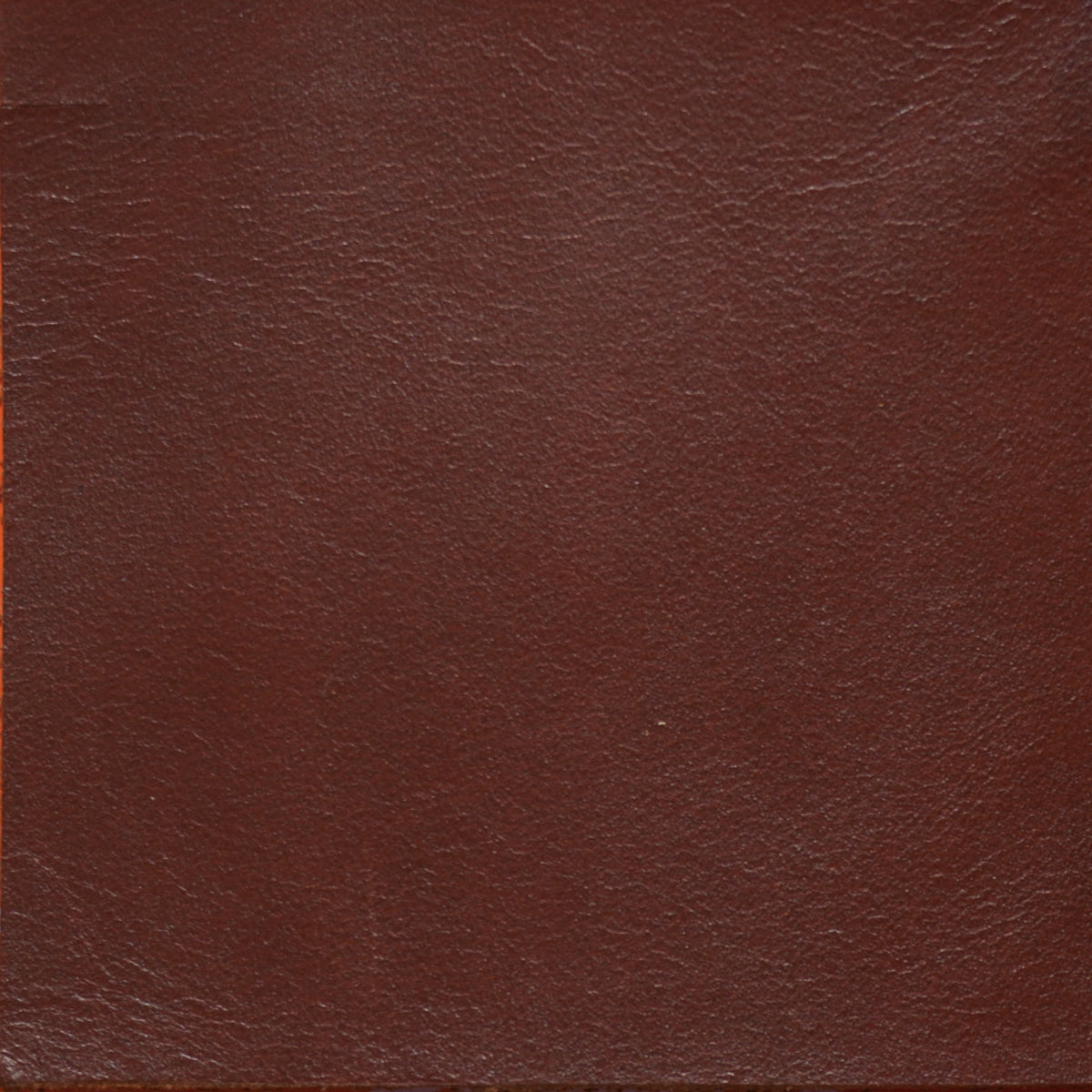 Chocolate Brown leather swatch