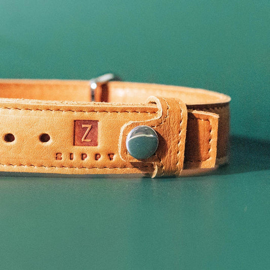 Pet Collar