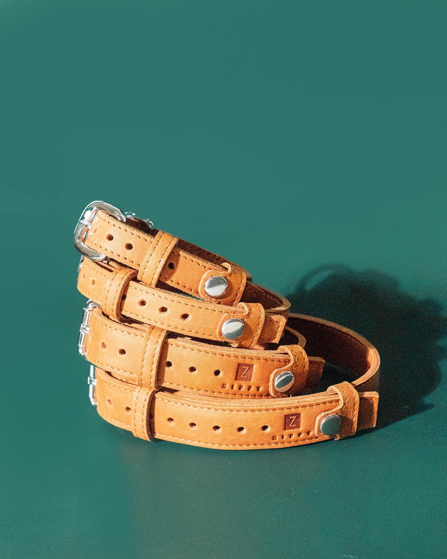Pet Collar