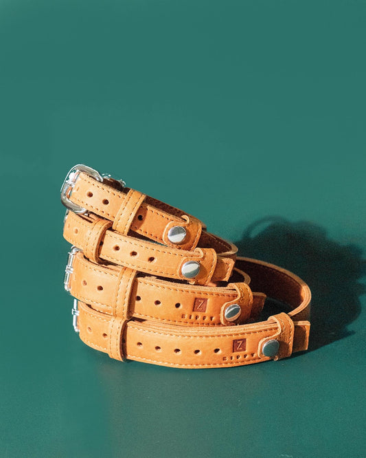 Pet Collar