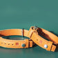 Pet Collar