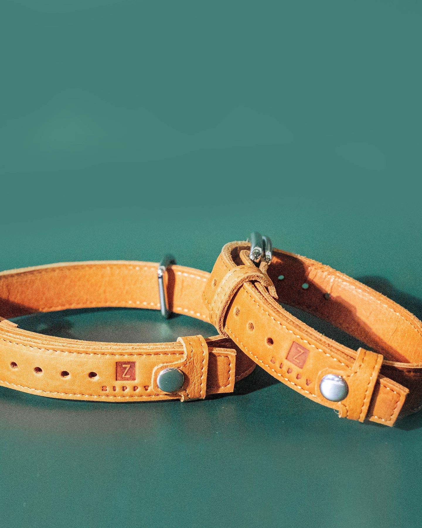 Pet Collar