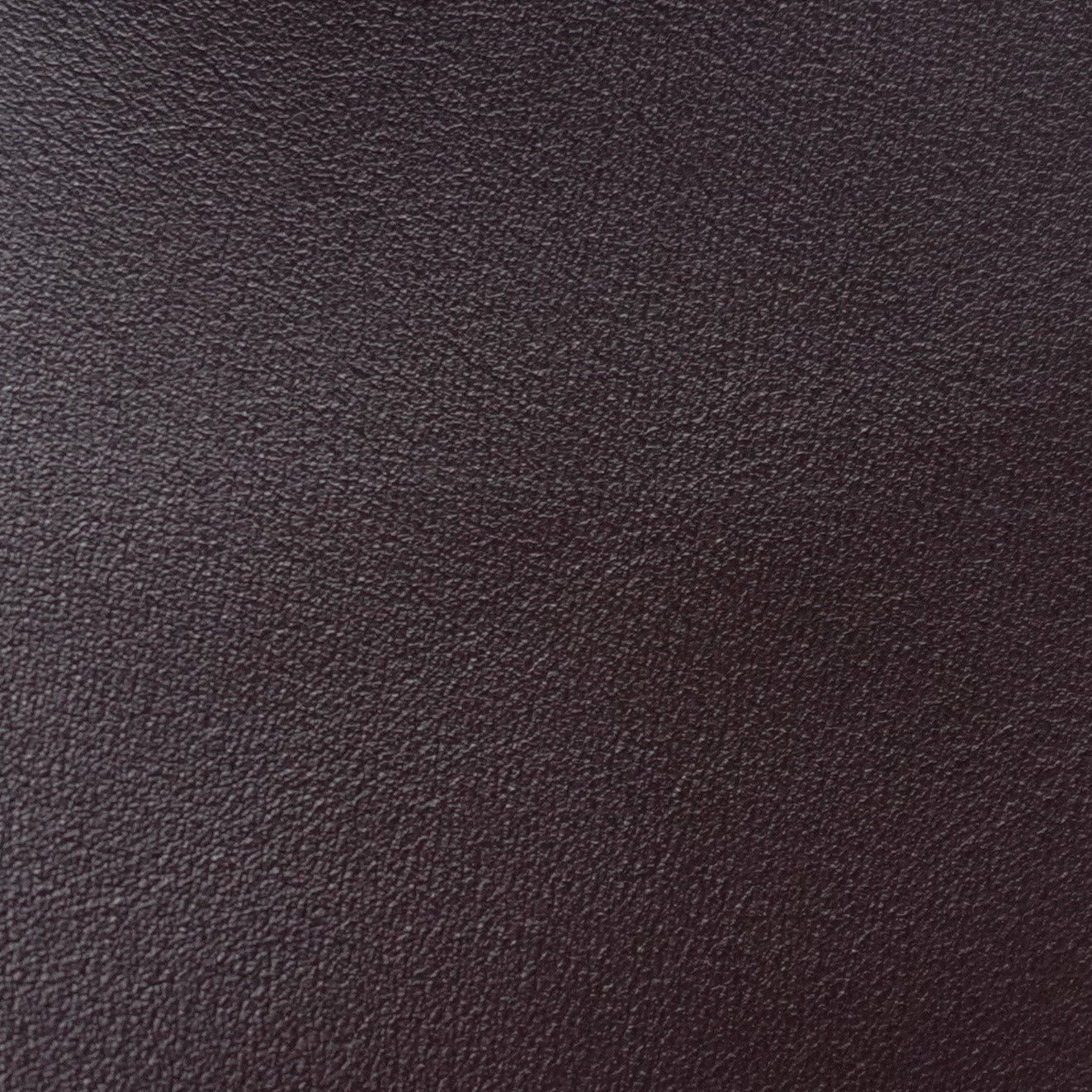 Checkbook Wallet