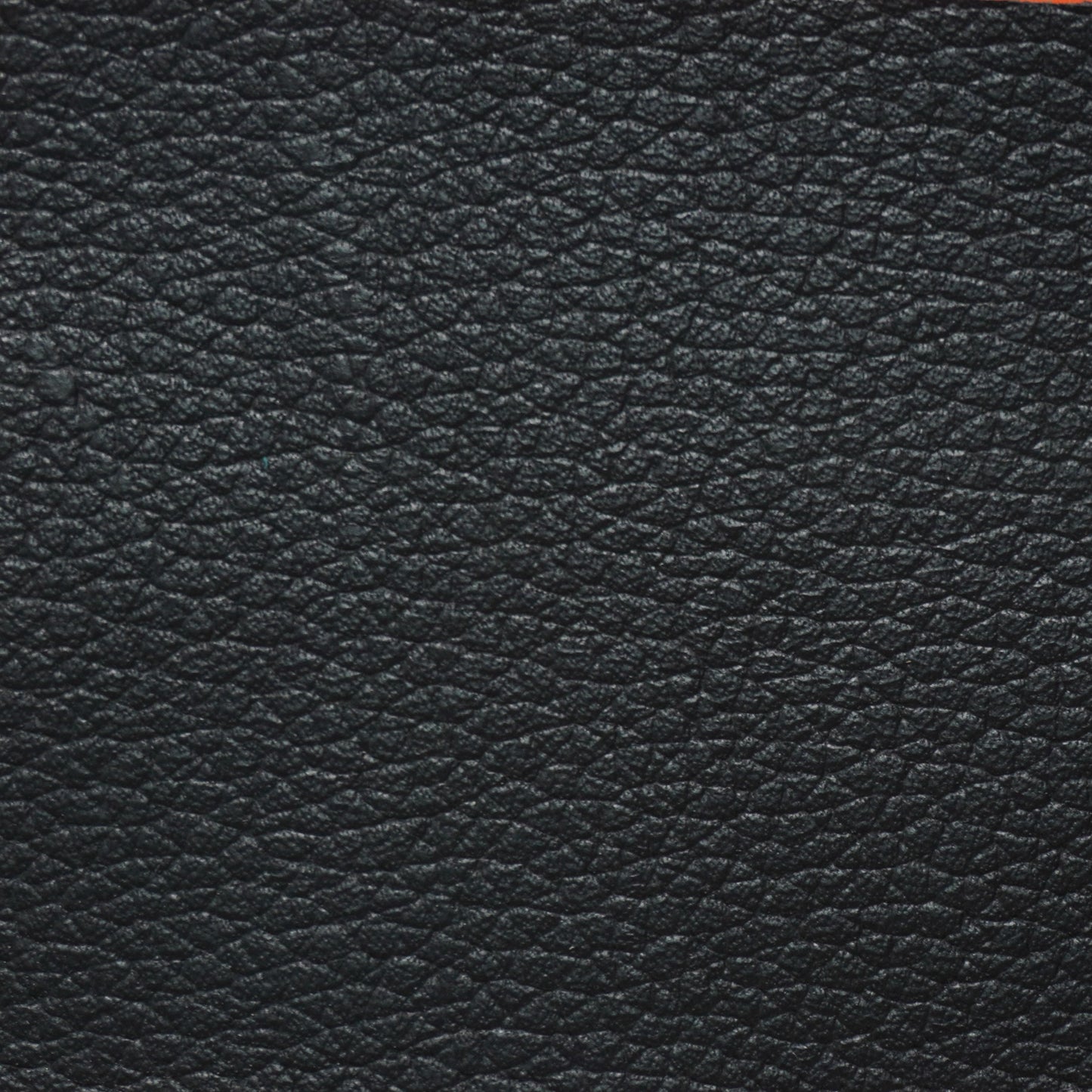 Checkbook Wallet